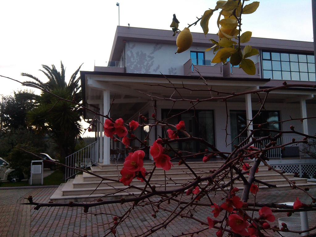 Hotel Parco Degli Ulivi 스케르네 외부 사진