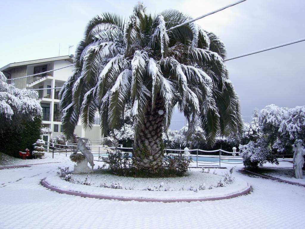 Hotel Parco Degli Ulivi 스케르네 외부 사진